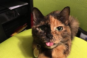 Фотоподборка за 10.05.2016