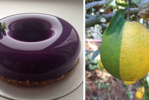 55 фотографий, которые согреют душу каждому перфекционисту 