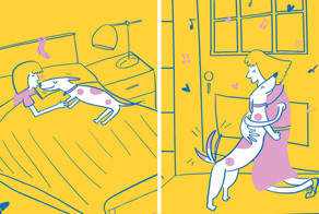 Жизнь хозяйки собаки в 10 очаровательных иллюстрациях