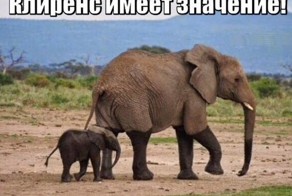 Свежая подборка автоприколов