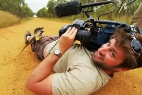 Не снимай меня, я не накрашена! Плащеносная ящерица атаковала оператора