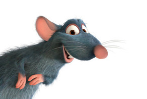 У нас на кухне все чисто и стерильно, говорили они! 