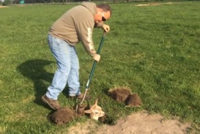 Фермер спас провалившегося в старую барсучью нору детеныша альпаки