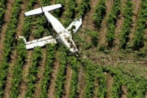 Пассажиры чудом выжили при падении самолета в виноградник
