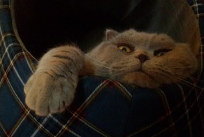 Фотоподборка за 20.05.2016