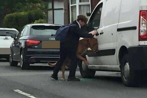 Британский школьник спас собаку от удушения на собственном поводке