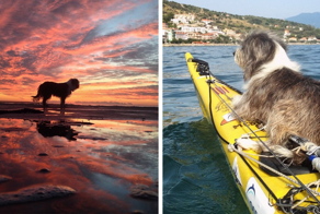 По Средиземному морю на каяке: мужчина уволился с работы и отправился в плавание вместе с собакой 