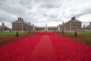 Посетители цветочного шоу в Челси могут полюбоваться более 300 000 вязаных маков