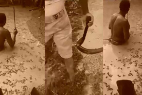 Электрический угорь напал на мужика