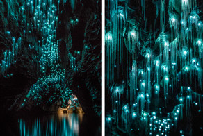 Пещеры Вайтомо - звездное небо из светлячков