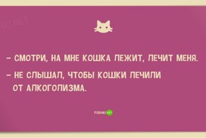 25 смешных анекдотов про кошек и котов