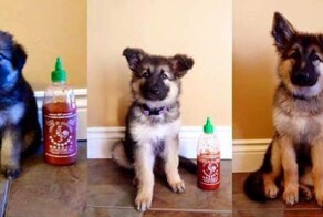 Фотоистория уменьшения одной бутылочки