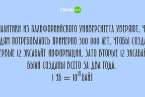 Любопытные факты, которые будут интересны людям с высоким IQ