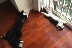 Фотоподборка за 30.05.2016