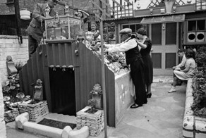 Маленький семейный бункер во дворе заднего дома