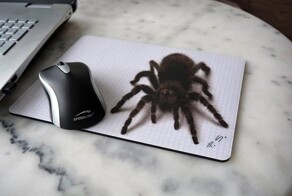 Феноменальные 3D-рисунки, которые гарантированно обманут ваш мозг 