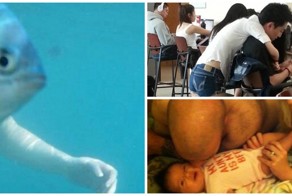 15 фотографий, которые введут вас в заблуждение