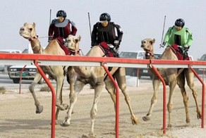 30 фотографий, доказывающих, что Дубай - самый безумный город на Земле