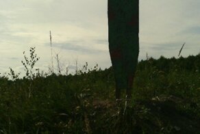 Восставшие из мёртвых (обзор мишенных установок умус-127)