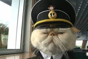 Кот Матрос и Боцман несут замурчательную вахту на российском теплоходе