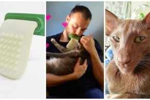 Наконец-то можно лизать своего кота гигантским силиконовым языком