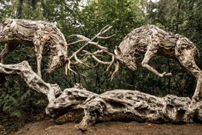 Фотоподборка за 06.06.2016