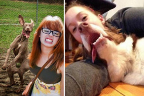 12 наглых псов, которые плевать хотели на эти ваши селфи