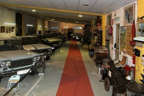 Автомобильный музей в кустах