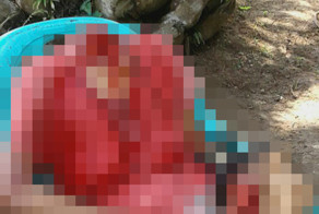 Внучек обезглавил свою бабулю