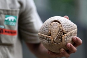 Фотоподборка за 09.06.2016