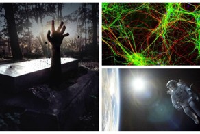 12 общеизвестных фактов, оказавшихся мифами