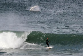 Фотоподборка за 10.06.2016