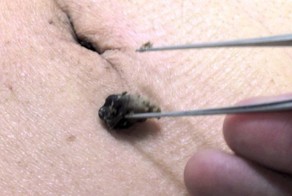 10 отвратительных вещей, которые случатся, если вы перестанете принимать душ