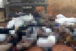 Мигранты задохнулись в кузове крузовика