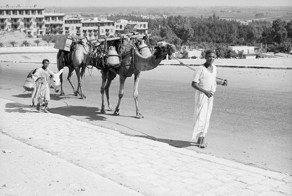 Атмосфера стремительно меняющегося Каира в 1900 – 1936 годах