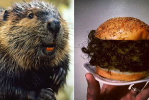 Шок: вот чем нас травят каждый день!