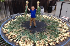 Фотоподборка за 23.06.2016