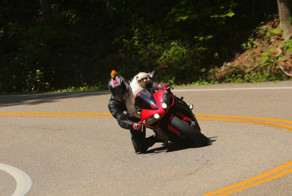 Фотоподборка за 24.06.2016