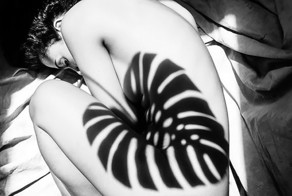 Женщины, облаченные в тени природы