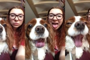 25 хозяев, невероятно похожих на своих собак