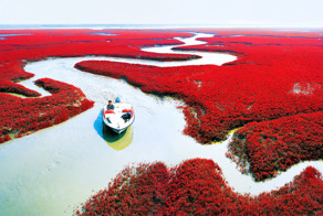 Неземные пейзажи из разных уголков мира