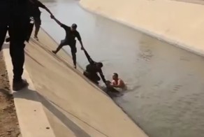 Перуанские полицейские сделали живую цепь, чтобы спасти щенка