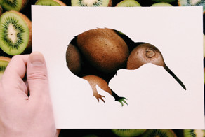 Силуэты животных на фоне природы