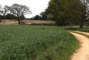 Этот пес знает толк в удовольствиях!  