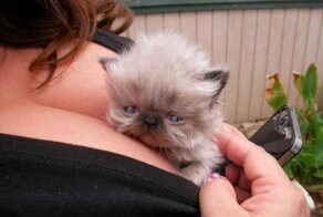 Фотоподборка за 28.06.2016