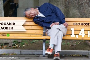 У кого самые большие и тяжёлые мозги?