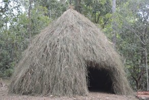 Как построить шалаш в лесу своими руками