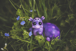 Сказочные виды животных, обнаруженные в саду