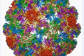 Миллионы женщин пройдут новую проверку на рак шейки матки, которая предотвратит до 600 случаев в год