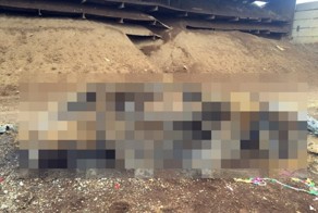 Друшлак из автомобиля на полигоне